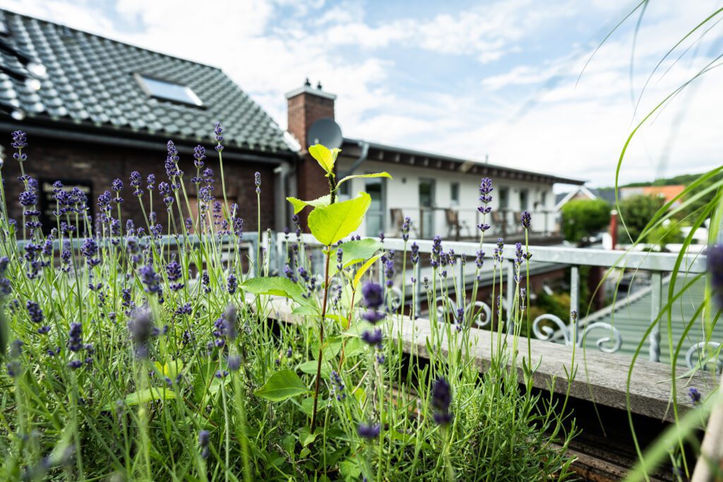 Hotel Restaurant Haus Berger Viersen 4